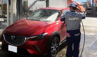 洗車（約10分）