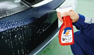 フロントグリルの虫