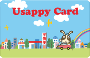 Usappy Card